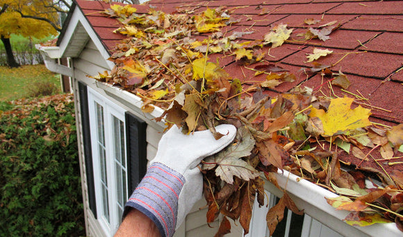 Fall Fix-Ups: Essential Tools for Home Repair and Maintenance Before Winter
