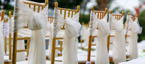 Gold chairs with white ribbons on their backs set up outdoors on a clear day