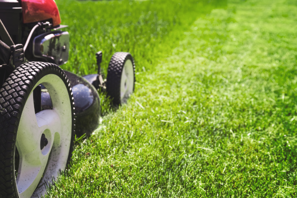 Lawn mower cutting the grass on a clear day